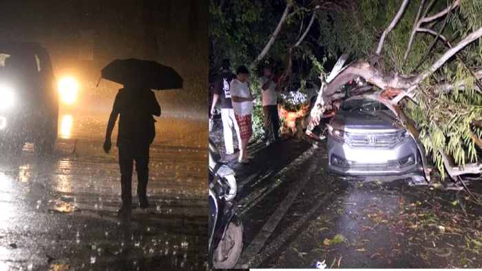 उत्तर प्रदेश में आंधी-बारिश, 2 दिन में 58 मौतें:मध्य प्रदेश में पेड़ उखड़े